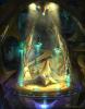 Protoss_Meeting